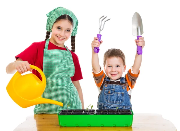 Zwei Kinder pflanzen den Sämling — Stockfoto