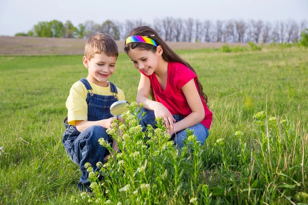 Kids looking to flower through a magnifying glass — Stock Photo, Image