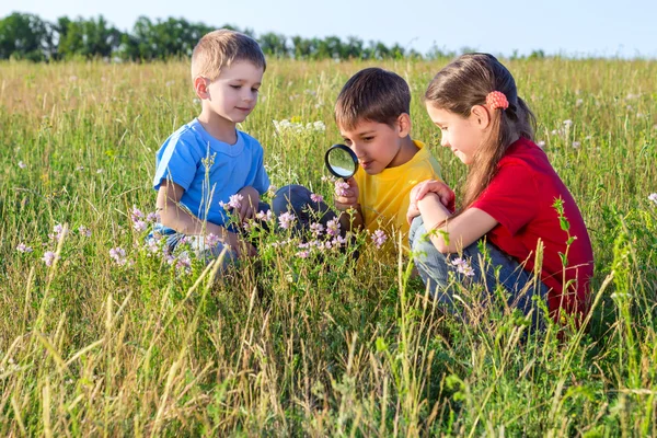 Three kids looking to flower with a magnifyer — Stock Photo, Image