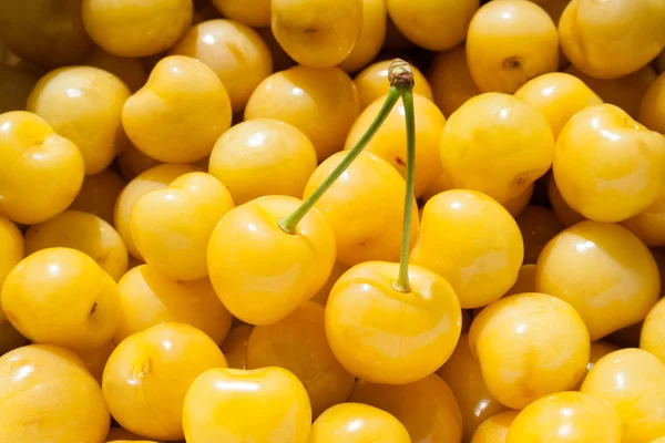 Tło z wiśni, żółty — Zdjęcie stockowe