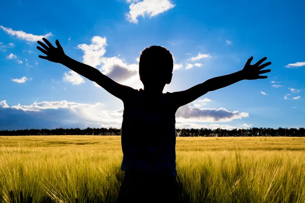 Silhouet van jong geitje in het veld — Stockfoto