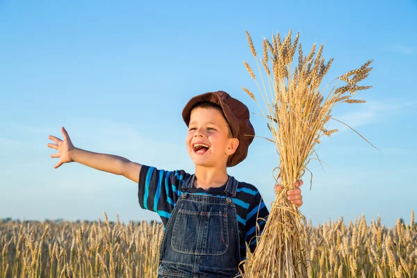 Jongen op tarweveld — Stockfoto