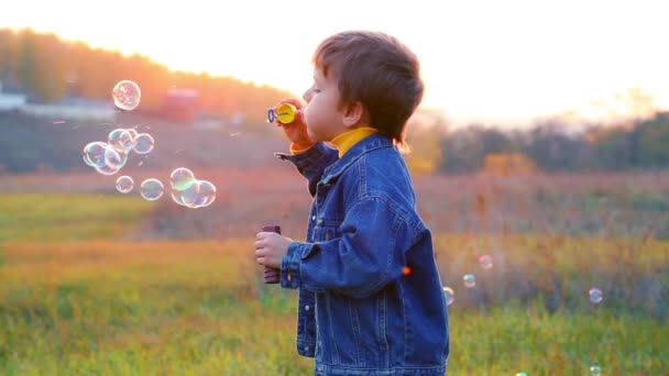 Хлопчик з мильними бульбашками — стокове відео