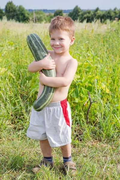 Menino com abobrinha no campo — Fotografia de Stock