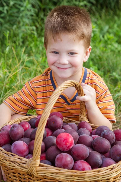 Klein kind met mand voor plum — Stockfoto