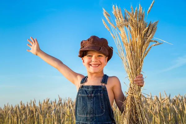 Menino no campo de trigo — Fotografia de Stock