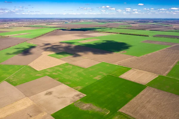 Aerial View Spring Landscape Green Fields Shadows Clouds Ukraine — Stock Fotó