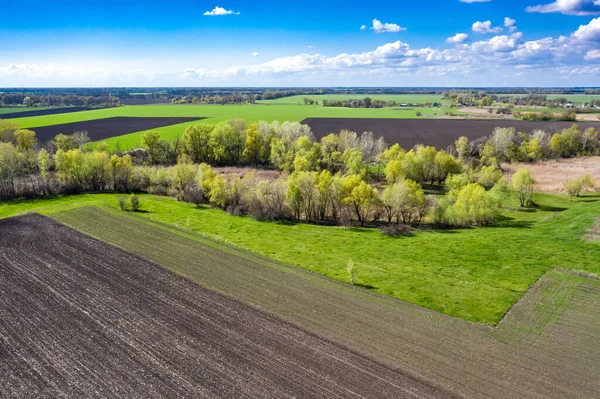 Aerial View Spring Landscape Green Fields Ukraine — Stock Fotó