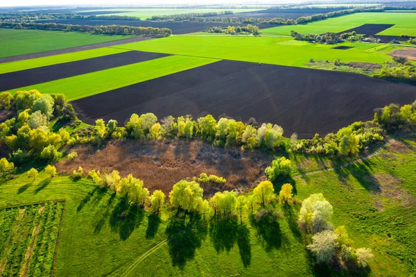 Aerial View Spring Landscape Green Fields Bright Trees Dry River — Stock Fotó