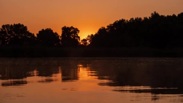 Схід Сонця Спокійній Літній Річці Україна — стокове відео