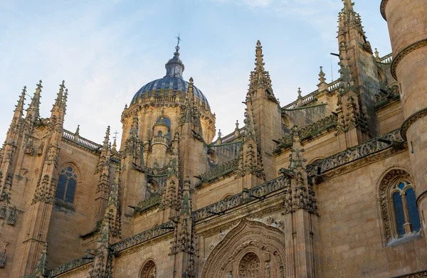 Salamanca cathedral — Stok fotoğraf