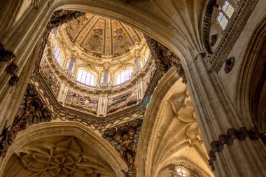 Salamanca Cathedral Dome clipart