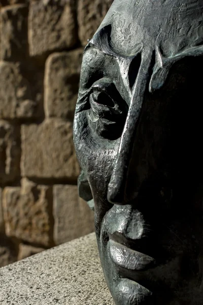 Busto de cabeça de ferro — Fotografia de Stock