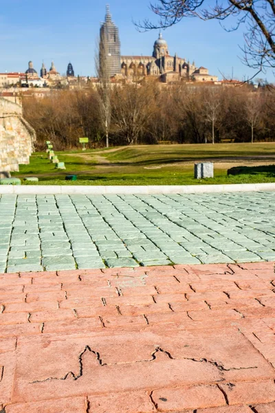 Salamanca silueta — Stock fotografie