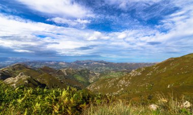 Picos de Europa