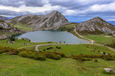 la picota gölden ENOL