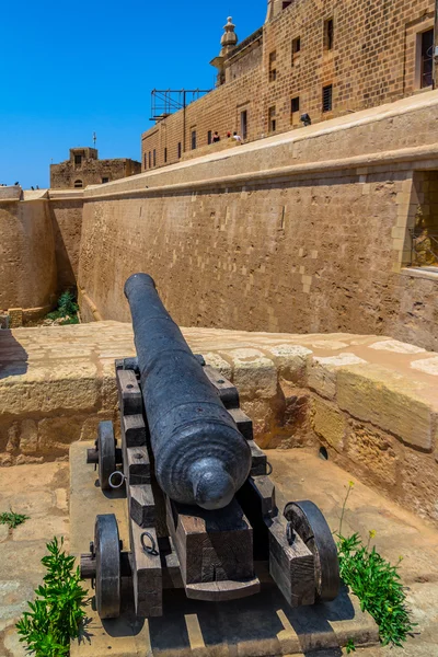 Cañón de ciudadela — Foto de Stock