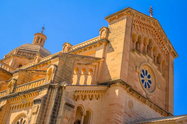 Ta pinu basiliek lage hoek — Stockfoto