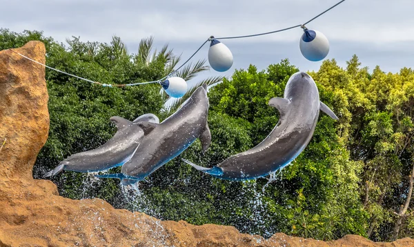 Sprong van dolfijnen — Stockfoto
