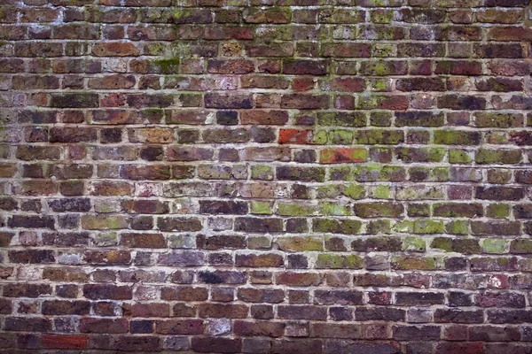 Oude stenen muur — Stockfoto