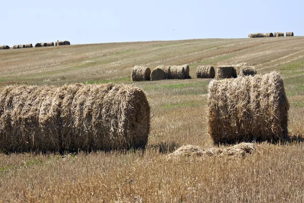 Rundballen aus Stroh Stockbild