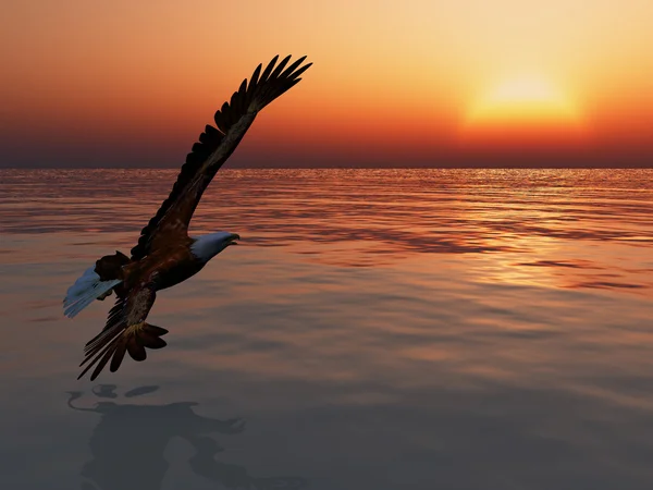 kartal