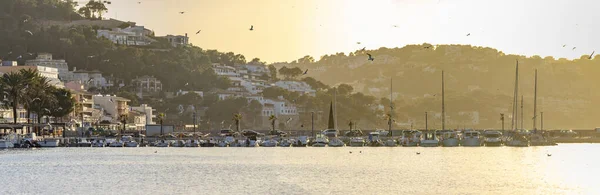 Puerto Andratx Mallorca Spanien — Stockfoto