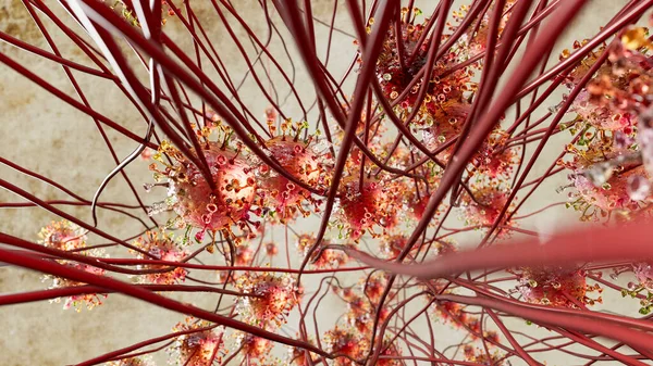 코로나 바이러스가 모습을 시뮬레이션 — 스톡 사진