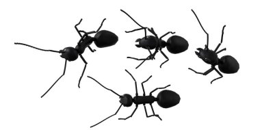 concept work, team of ants  3d illustration