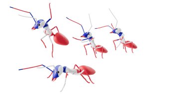 concept work, team of ants  3d illustration