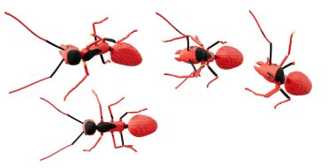 concept work, team of ants  3d illustration
