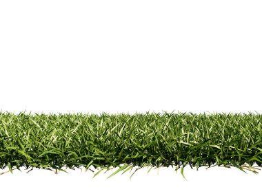 3d illustration of the concept nature, grass or lawn isolated