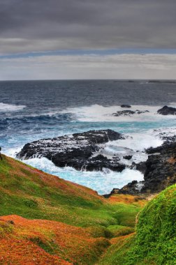 Avustralya kıyıları