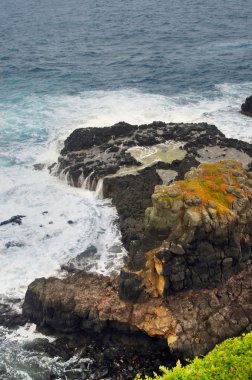 Avustralya kıyıları