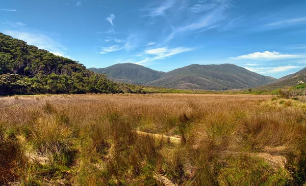 Outback australiano — Fotografia de Stock