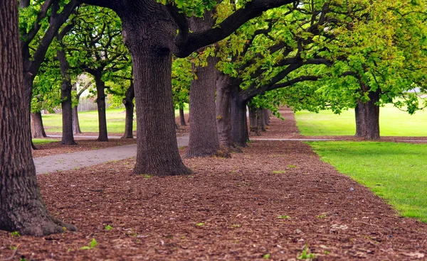 Vicolo del parco — Foto Stock