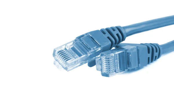 Kable Ethernet — Zdjęcie stockowe