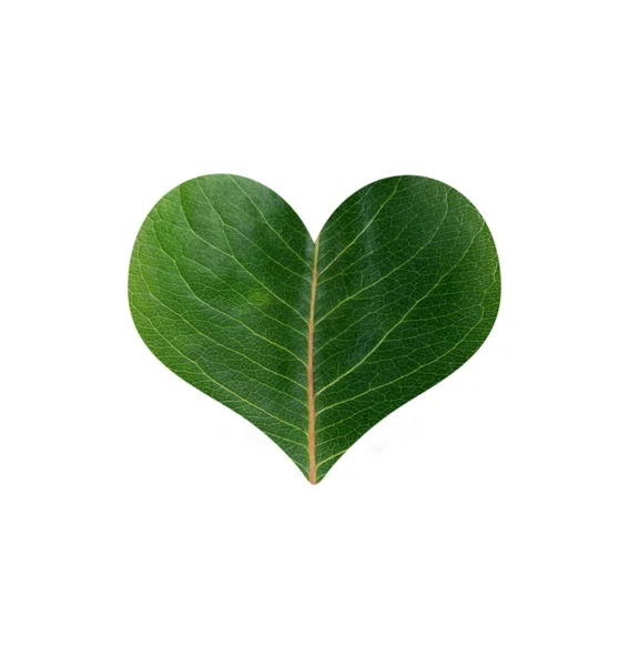 Leaf heart — Stock Photo, Image