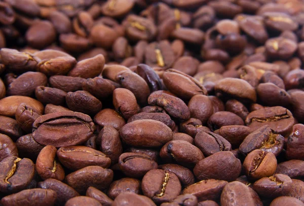 Coffee beans — Stock Photo, Image