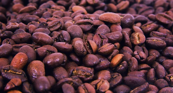 Coffee beans — Stock Photo, Image