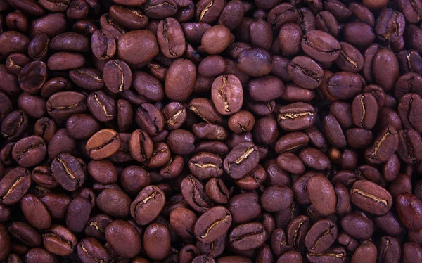 Coffee beans — Stock Photo, Image