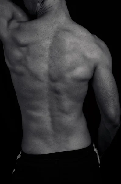 Male back — Stock Photo, Image