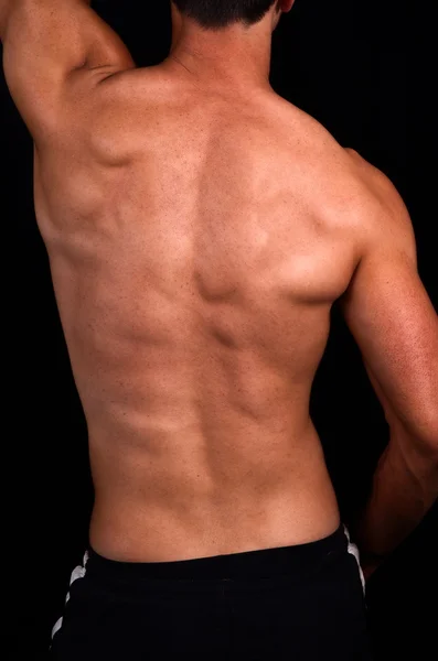 Male back — Stock Photo, Image