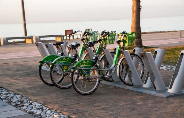 바투미 조지아 2021 바투미에서 집세용 자전거 그루지야 — 스톡 사진