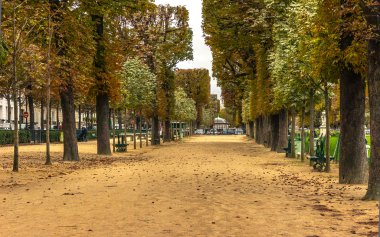 Avenue Güz