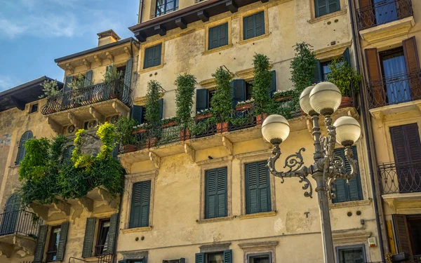 Verona.