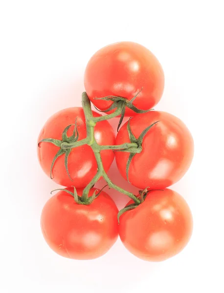 Las verduras de tomate y el perejil dejan bodegones aislados en el blanco — Foto de Stock