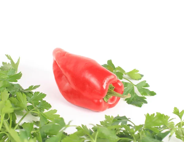 Legumes de pimenta fresca isolados sobre fundo branco — Fotografia de Stock