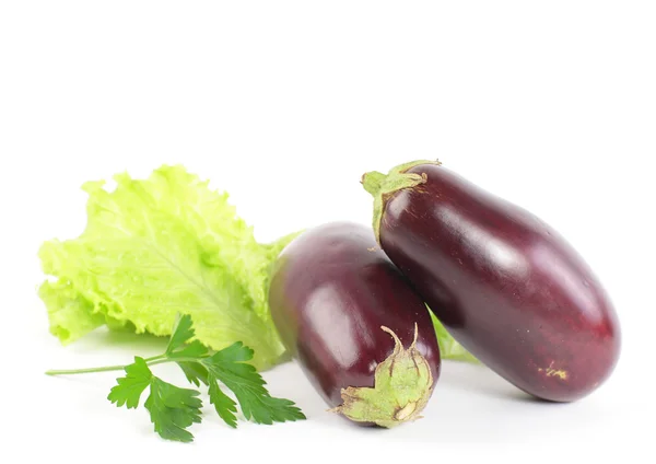 Aubergine plantaardige geïsoleerd op witte achtergrond — Stockfoto