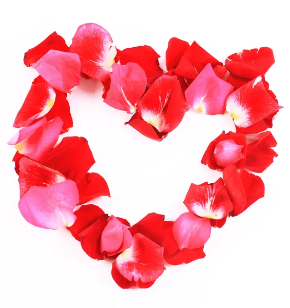 Armação de belas pétalas de rosas — Fotografia de Stock